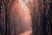 移动端自动化测试框架-unittest+appium